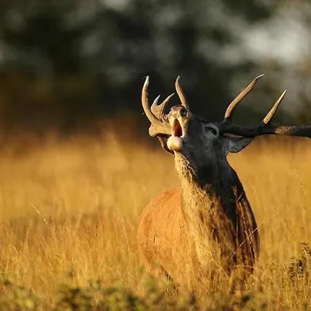 K & N A 1 Km Du Circuit דירה
