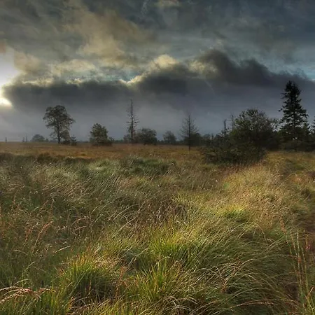K & N A 1 Km Du Circuit פרנקורשנס