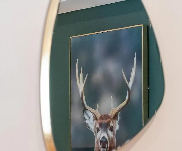 דירה K & N A 1 Km Du Circuit *