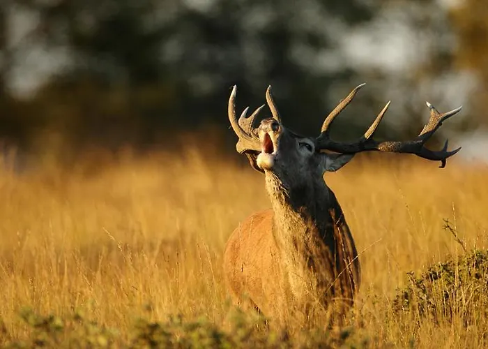 K & N A 1 Km Du Circuit דירה