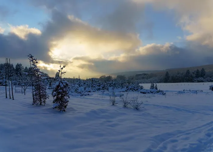 K & N A 1 Km Du Circuit *