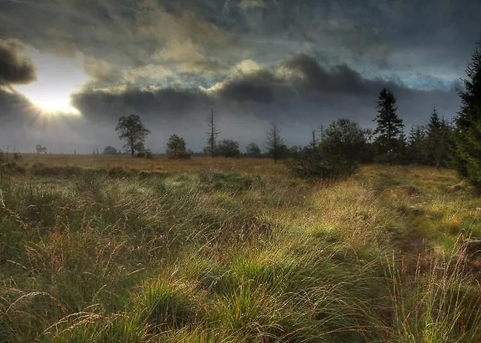 K & N A 1 Km Du Circuit פרנקורשנס
