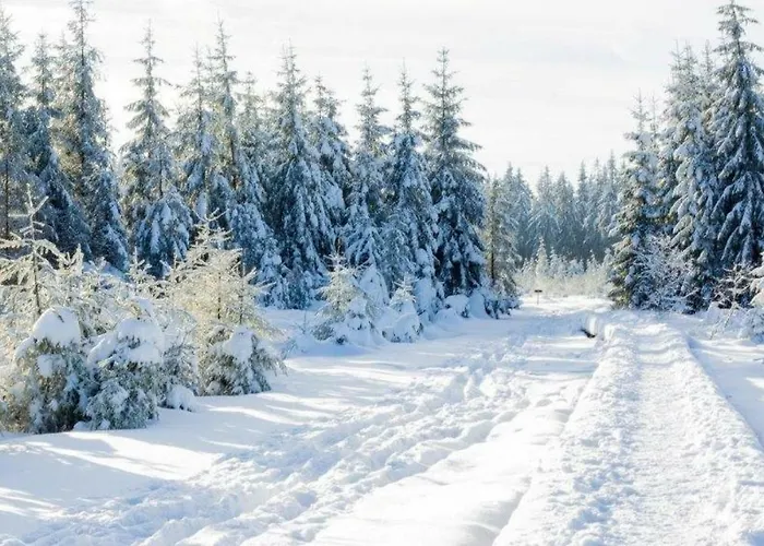 K & N A 1 Km Du Circuit פרנקורשנס